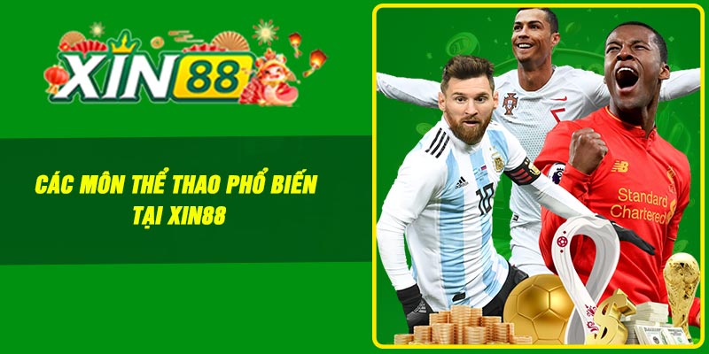 Các môn thể thao phổ biến tại Xin88