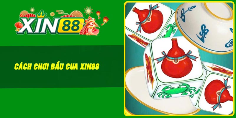 Cách Chơi Bầu Cua Xin88