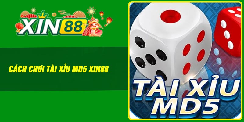 Cách chơi tài xỉu MD5 Xin88