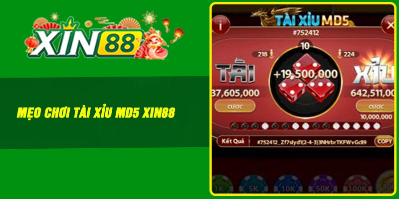 Mẹo chơi tài xỉu MD5 Xin88