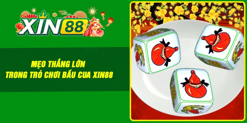 Mẹo thắng lớn trong trò chơi bầu cua Xin88