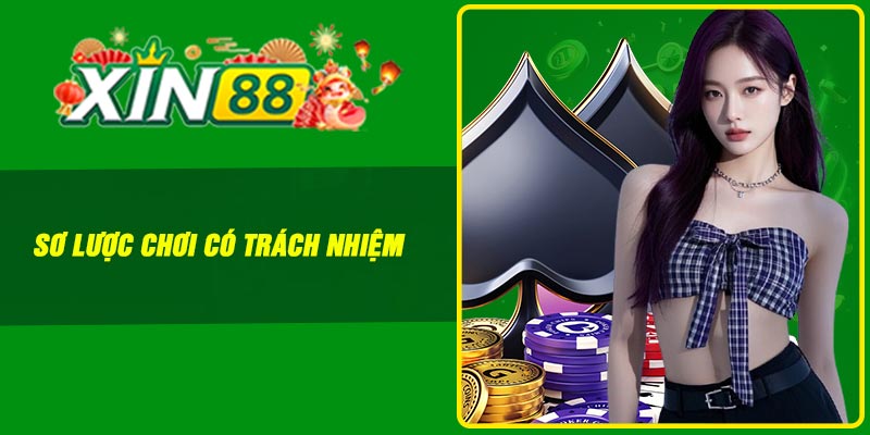 Sơ lược chơi có trách nhiệm