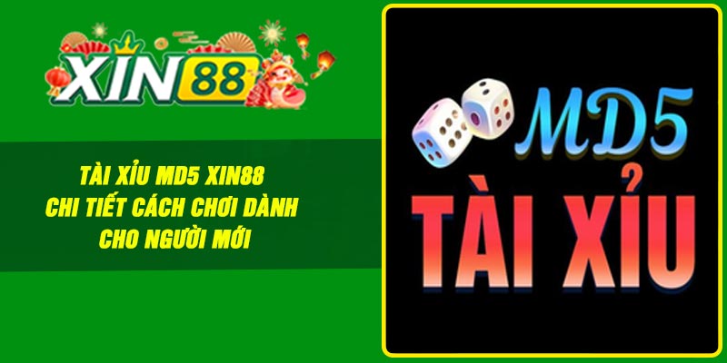 Tài xỉu MD5 Xin88 – Chi tiết cách chơi dành cho người mới
