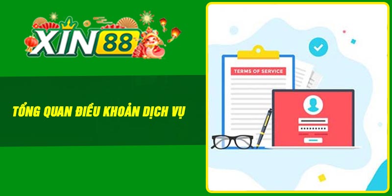 Tổng quan điều khoản dịch vụ